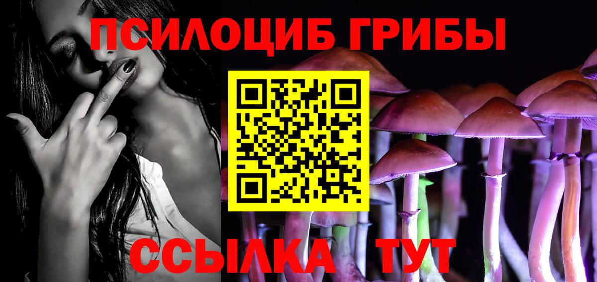 Псилоцибиновые грибы Psilocybine cubensis  Вход с VPN  Артём  Псилоцибиновые грибы Cubensis 